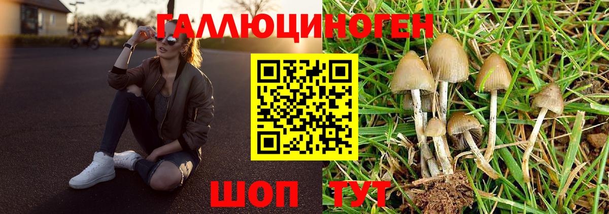 Псилоцибиновые грибы мицелий  Вход с VPN  Псилоцибиновые грибы прущие грибы  Котлас 